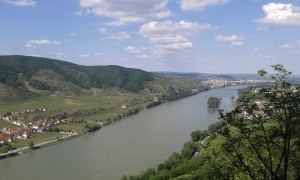 Flusslandschaft, Wachau